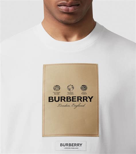 burberry t-shirt original|burberry men's t shirt sale.